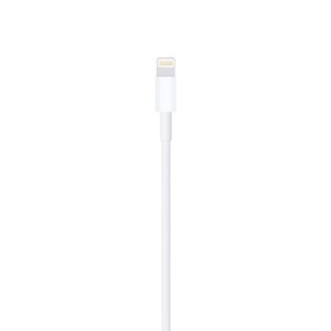 Primer plano del conector Lightning del cable, con los contactos dorados